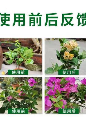 三角梅开花专用营养液花卉促花爆花催花盆栽家用营养氮磷钾