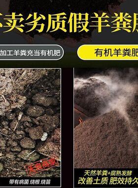 羊粪种菜发酵有机肥内蒙古腐熟羊粪肥有机肥料蔬菜专用羊屎粪