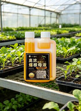八个老头高浓爆根母液快速育苗促花座果土壤通用营养生根液水溶肥