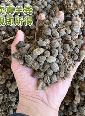 发酵羊粪腐熟肥料营养颗粒专用花纯蛋阳台盆通用家用种菜腐熟菜园