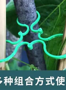 园林园艺八字扣黄瓜西红柿豆角爬藤绑枝固定夹绿植蔬菜捆绑扎带器