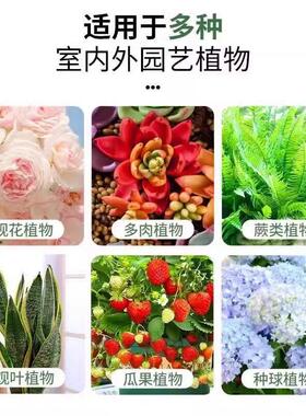 花卉绿植控释营养多肉缓释发财树绿萝氮磷钾复合植物