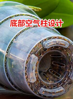 爱美蝴蝶兰专用透明控根盆兰花花卉石斛水苔家用塑料透气镂空花盆