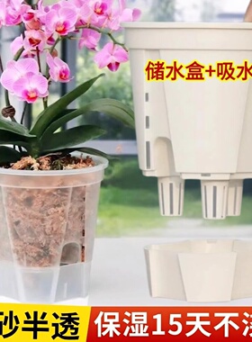 蝴蝶兰花盆专用懒人盆储水自吸水透明控根透气兰花石斛用绿植塑料