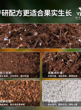 荔枝专用土龙眼水果树木种植盆栽透气泥炭土植物通用型养花营养土