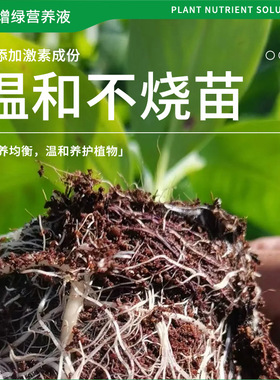绿植营养液园艺肥料花肥养花专用肥室内盆栽植物营养液通用型绿萝