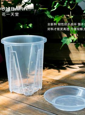 高透明青山控根盆水苔蝴蝶兰花专用观根花盆塑料热绿植盆大号家用