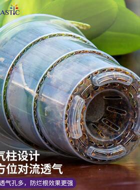 爱美透明兰花水苔蝴蝶兰专用花盆塑料透气热植石斛盆栽青山控根盆