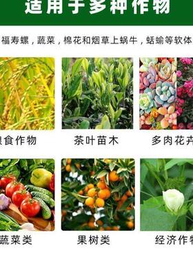 蜗螺净庭院蜗牛鼻涕虫果树蛞蝓福寿螺蔬菜农田增效助剂花卉通用的