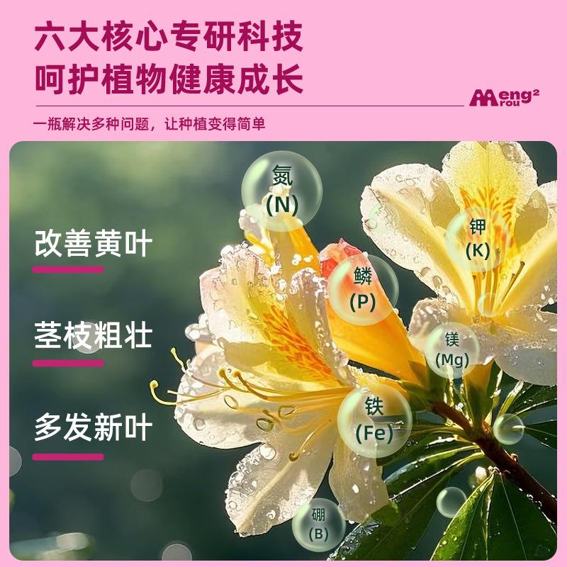 杜鹃花专用营养液强根健苗花苞满枝让杜鹃生机盎然花期延长营养液 - 图0