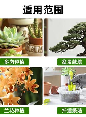 日向石进口种植专用兰花盆景中粒底石日本颗粒细粒培养土花卉植料