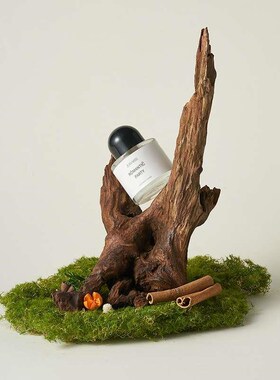 天然沉木造景 枯木拍照道具树枝木头装饰Iins静物摄影陈列摆件干