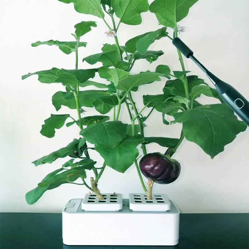 新款番茄自动授粉器电动喷花器点花器沾花器西红柿喷花器茄子辣椒 - 图2