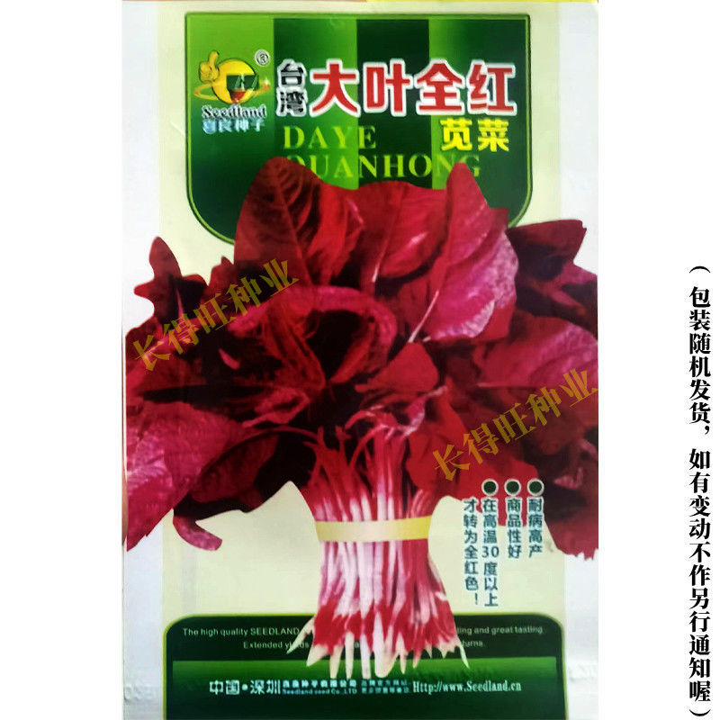 满身红苋菜种子全红汉菜红汗菜种籽春夏秋阳台青菜四季蔬菜种孑籽 - 图0