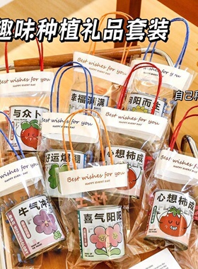 儿童种植小盆栽植物套装礼品袋