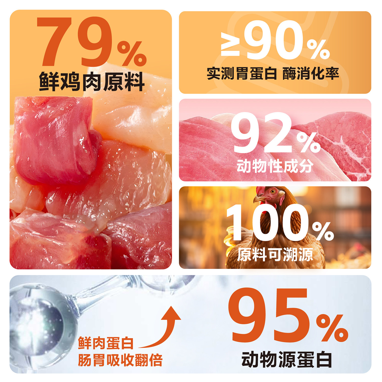 【新客体验】宝之龙全价全期低温烘焙冷压鲜肉猫粮成幼猫主食猫粮,淘宝优惠券,粉丝福利购,淘宝优惠卷