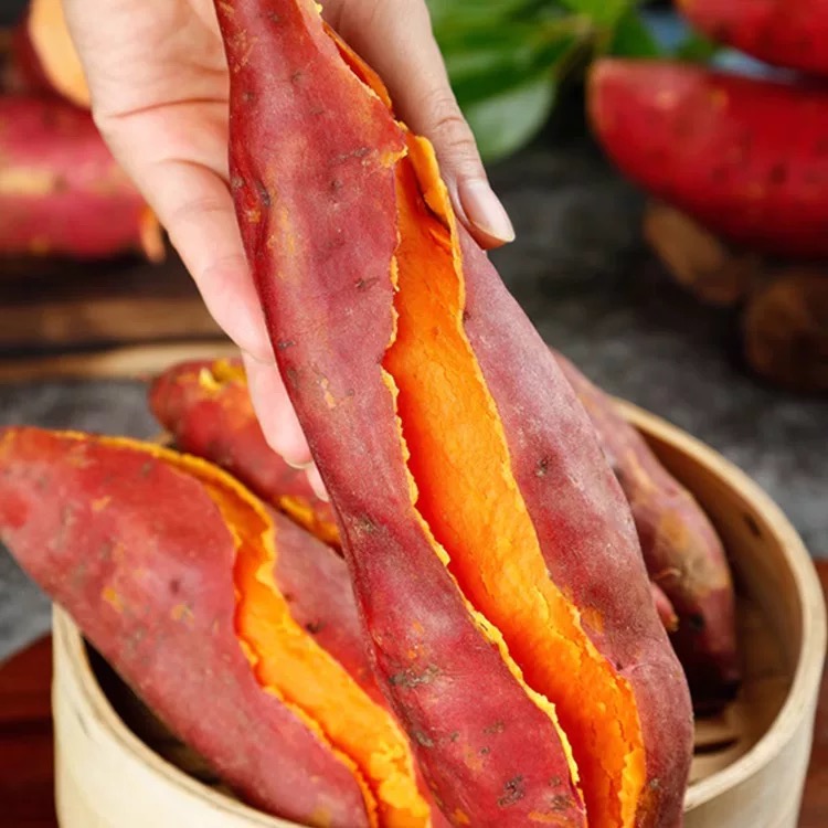 板栗蜜薯10斤新鲜红薯农家自种西瓜红糖心地瓜烟薯25号番薯小香薯