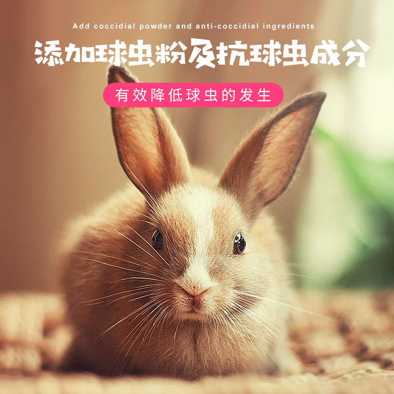 极速宠物兔子粮食饲料幼兔垂耳兔兔饲料兔粮N荷兰猪吃的干草食物,淘宝优惠券,粉丝福利购,淘宝优惠卷