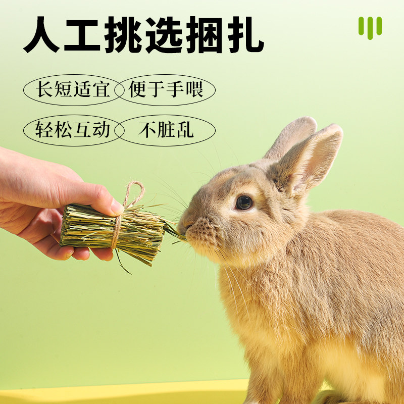 极速提摩a西草干草兔子牧草豚鼠荷兰猪幼兔吃的草料食用饲料兔粮,淘宝优惠券,粉丝福利购,淘宝优惠卷