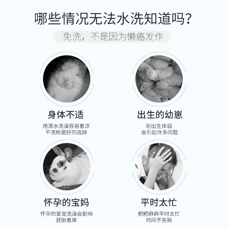 极速宠物兔子梳子洗澡用品荷兰猪梳毛器兔子洗澡T清洁用品干洗专,淘宝优惠券,粉丝福利购,淘宝优惠卷