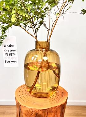 大肚玻璃花瓶特大号南天竹吊钟水培落地摆件高级感美男树马醉木