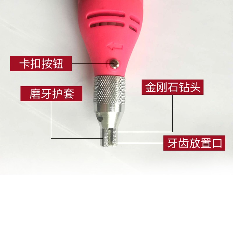 极速仔猪磨牙器电动磨牙器猪崽磨牙器兽用M可调速金刚石磨牙器宠 - 图1