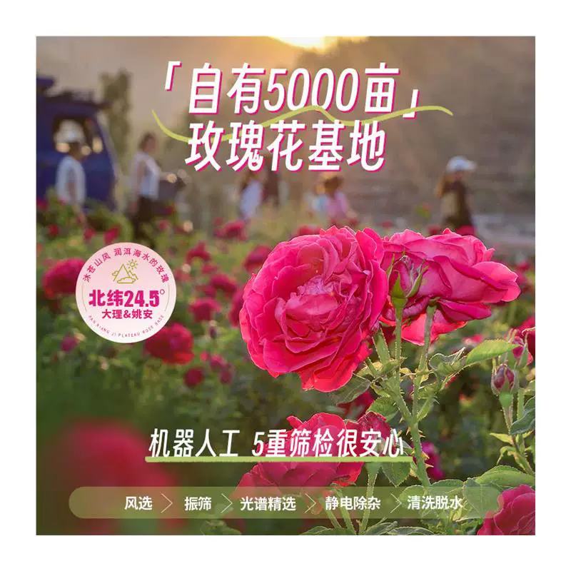 [Рекомендация Anchor] Rose Cake Official Flagship Store Pastry Snacks Flower Cake Yunnan Specialties