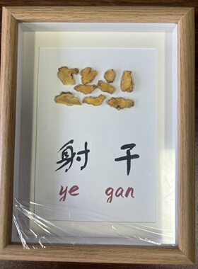 中药标本挂件环境中草药标本展示盒中草药手工制做感谢师恩药品卷
