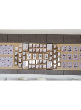 标本制作白芍装中药的展示盒贴在毛毡板上中草药标本省份手动订制