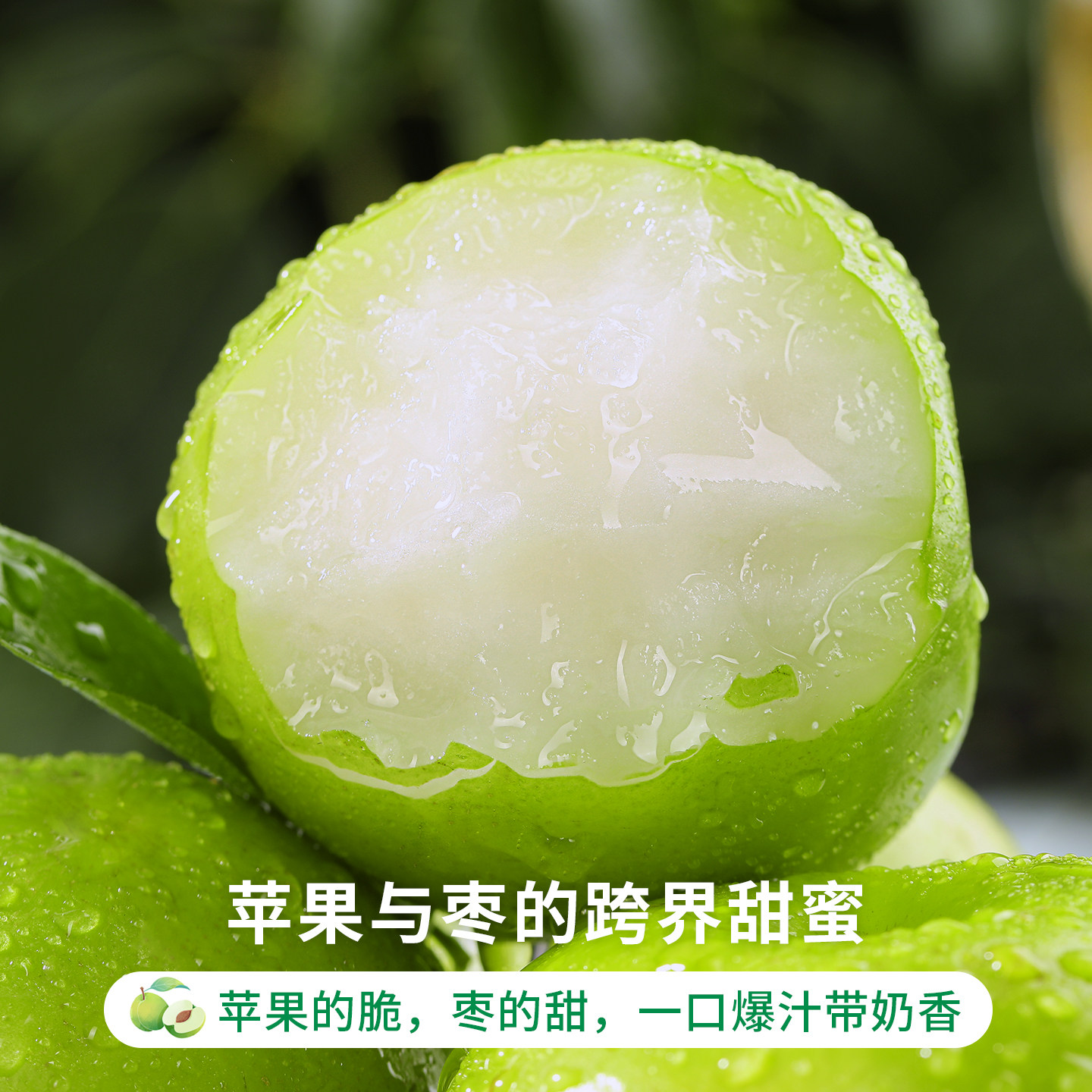 云南西双版纳苹果枣当季特产水果牛奶大青枣新鲜现摘冬正宗脆枣