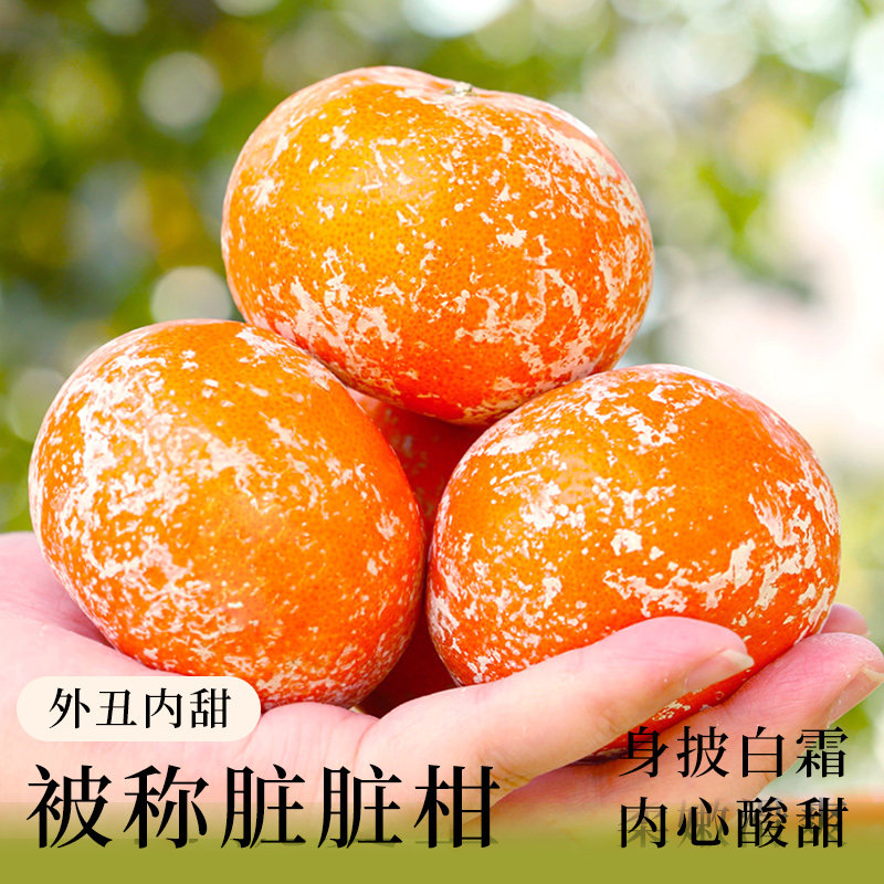 广西武鸣茂谷柑脏脏柑10斤新鲜水果应当季整箱沃橘子石灰柑桔子,淘宝优惠券,粉丝福利购,淘宝优惠卷