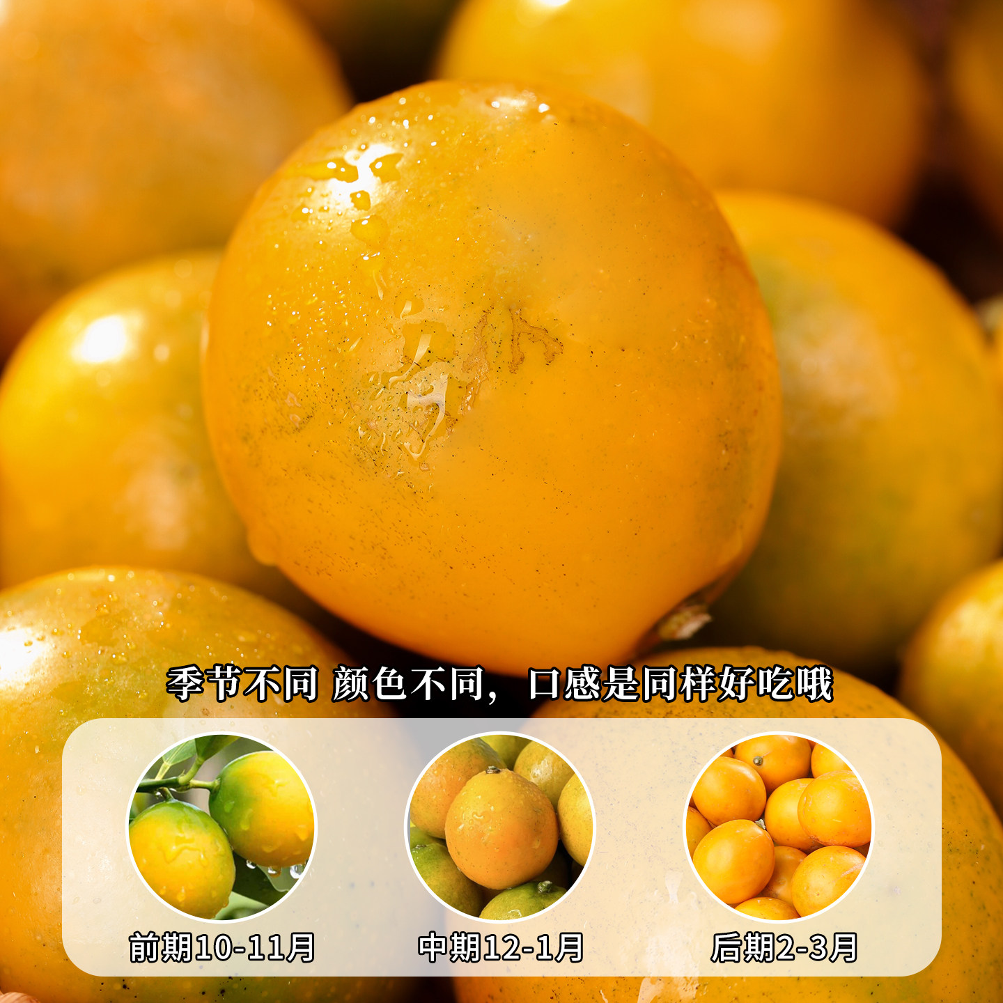 广西脆皮金桔应季水果当季新鲜整箱桔子旗舰店融安特产小金柑橘,淘宝优惠券,粉丝福利购,淘宝优惠卷
