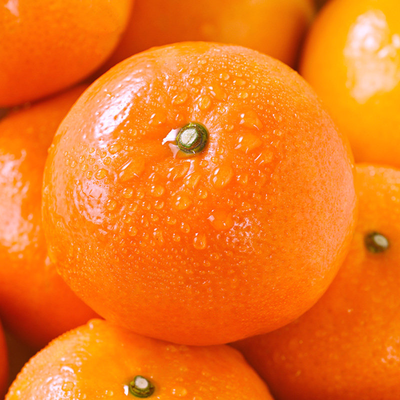 正宗广西沃柑新鲜水果当季整箱10现摘斤沙糖蜜橘砂糖柑橘桔子橘5,淘宝优惠券,粉丝福利购,淘宝优惠卷