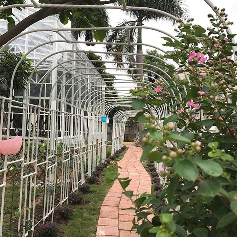 拱门花架爬藤架园艺藤本月季葡萄架拱形架子支撑半边藤架攀爬支架 - 图2