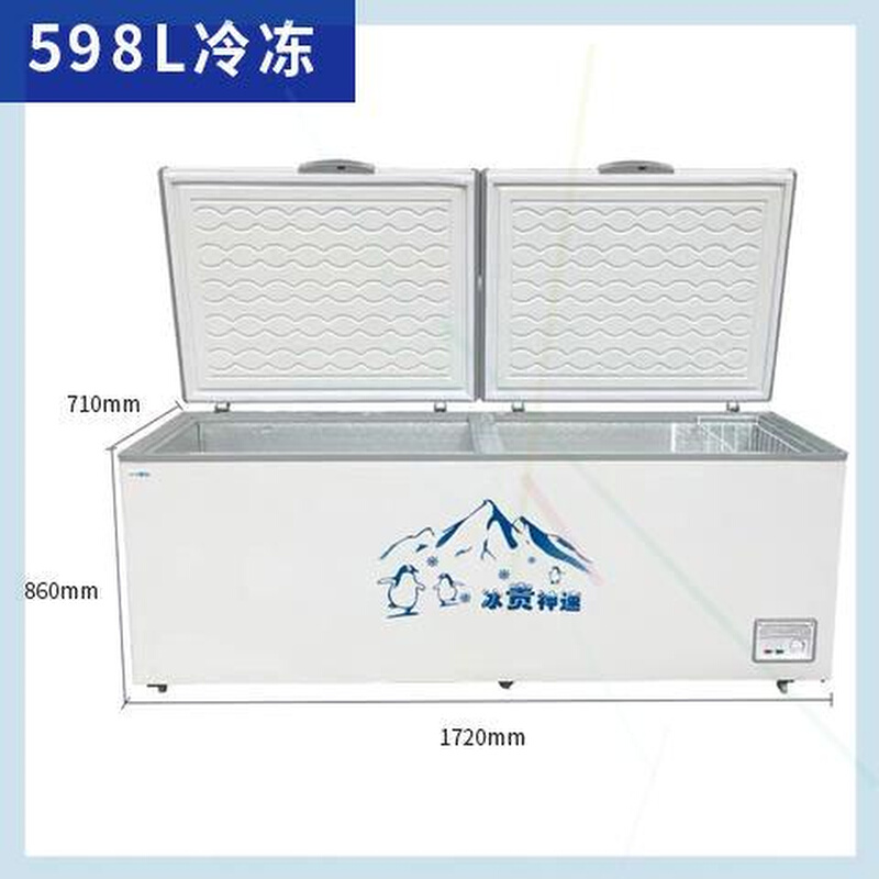 商用卧式冰柜冷柜大冰柜大容量冷冻双温冰柜冷冻柜家用998L - 图1