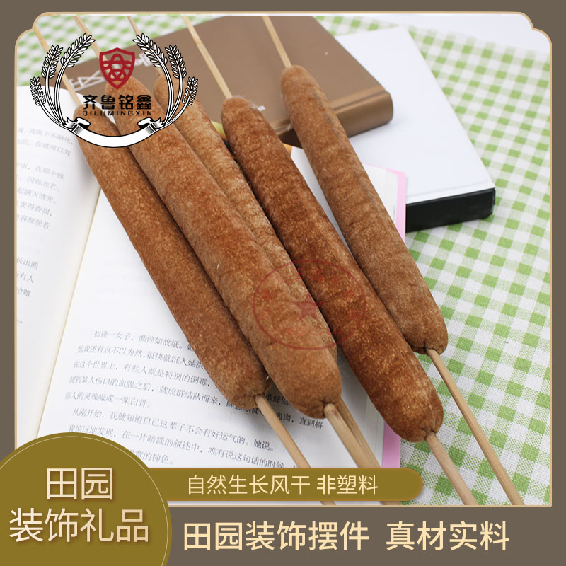 速发干花蒲草蒲棒花摆拍芦苇花绢花道腊烛水烛香蒲摄台拍舞水具 - 图1