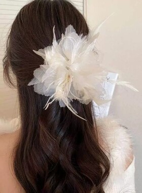 羽毛抓夹发夹女后脑勺鲨鱼夹高级感仙气古典舞头饰新中式花朵夹子