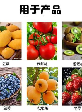 籽不锈钢果蔬打浆设草机枇15762537杷去核打浆设备莓去打浆机器果