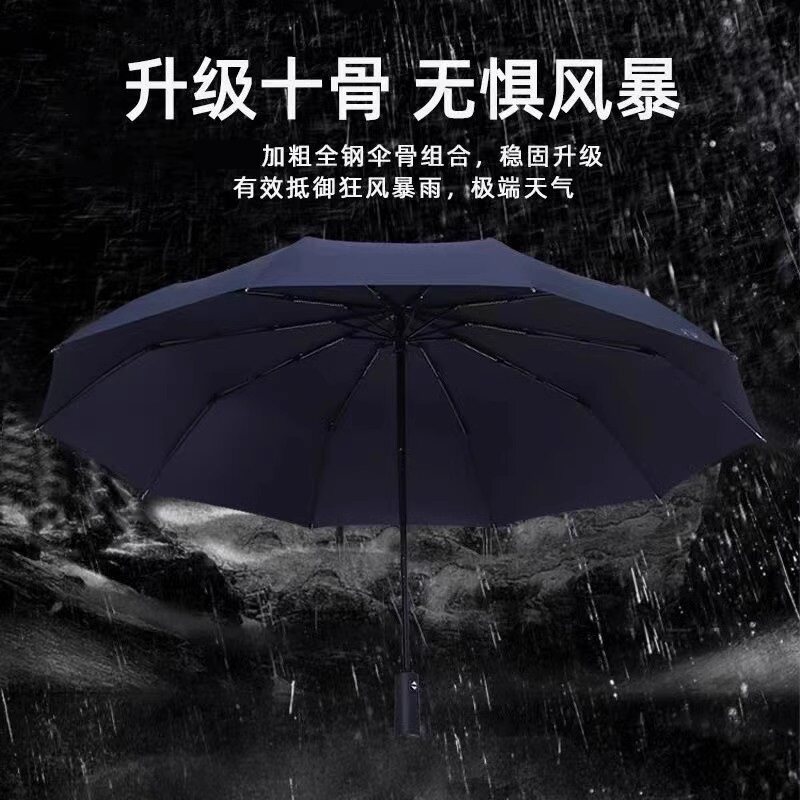 天堂伞全自动双人雨伞十骨全钢加固折叠便携纯色一键开收自动伞