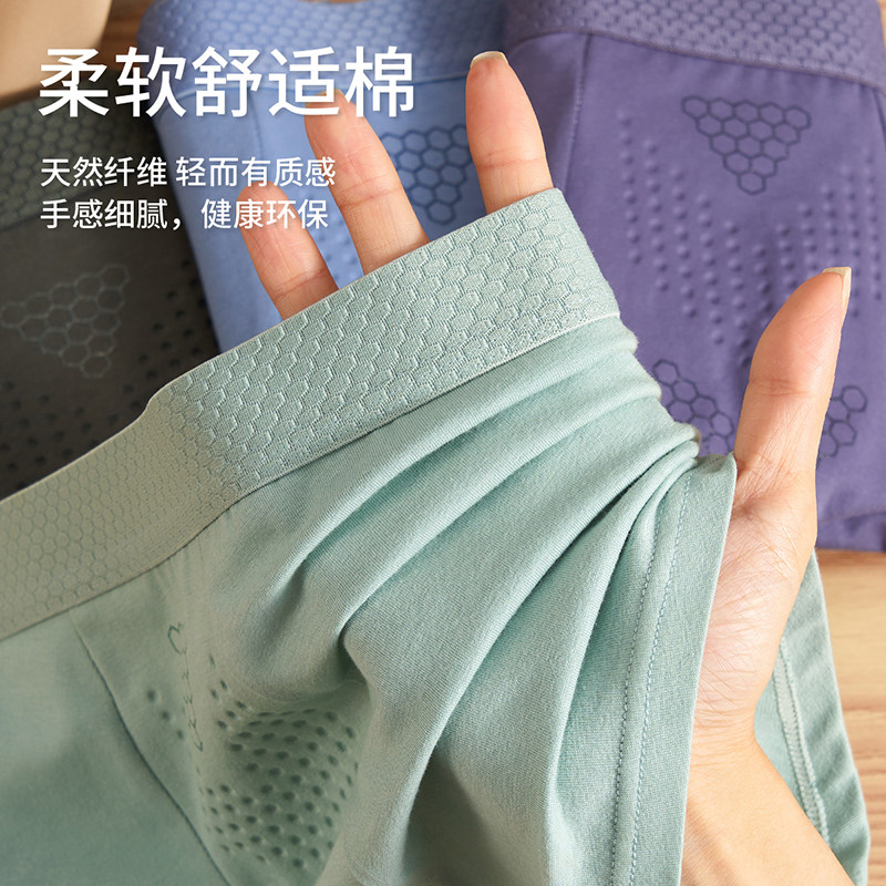 男士内裤男款2025新款宽松平角高端舒适透气短裤纯棉四角裤衩男生,淘宝优惠券,粉丝福利购,淘宝优惠卷