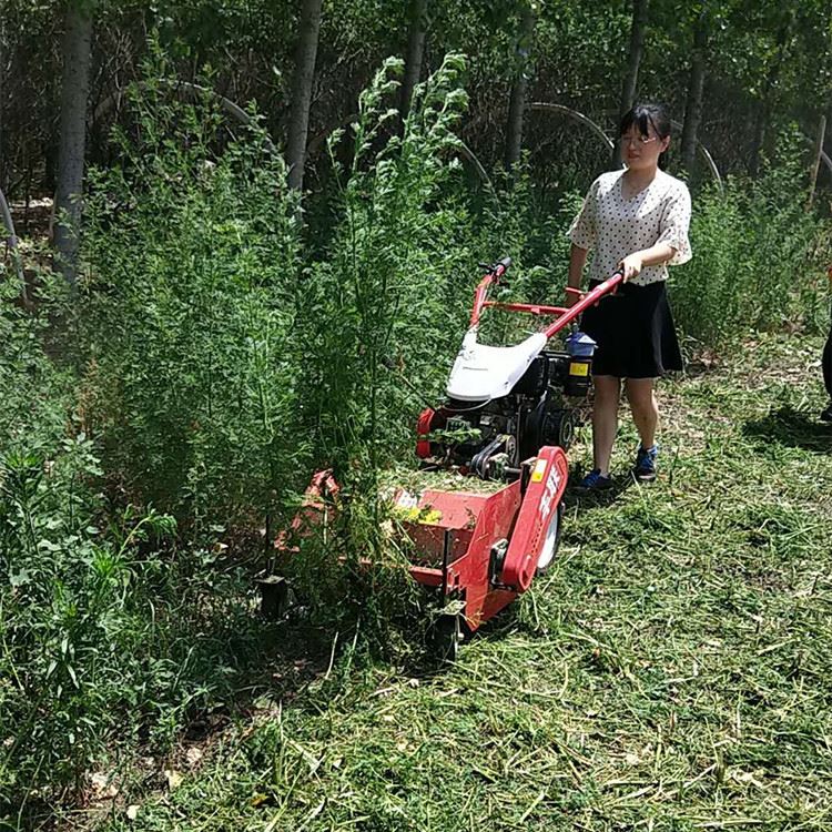 自走式果园碎草旱田机 大马力柴油动力割草机 农用小型打草除草机 - 图0