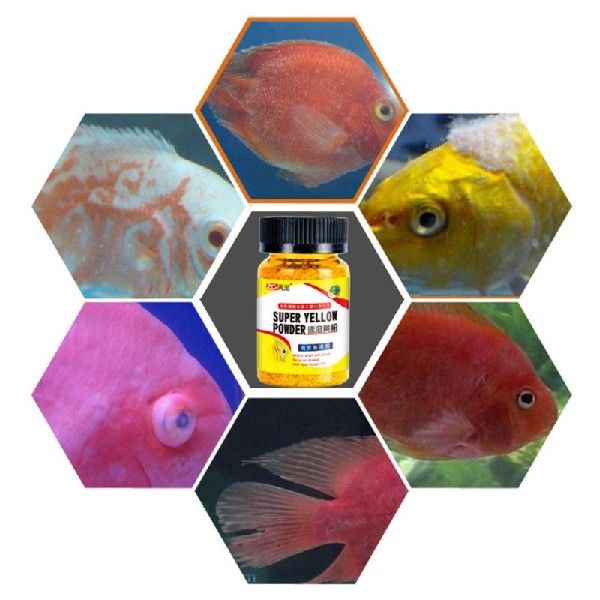 网红Aquarium Fish Tank Instant Yellow Powder For Ornamental - 图2