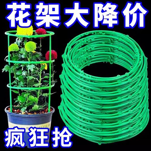 花架子室内家用支架通用型蟹爪兰花架莲花护叶架园艺盆栽支撑杆 - 图0