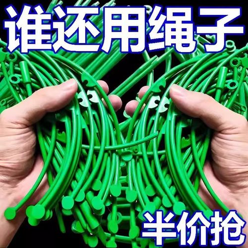 花架子室内家用支架通用型蟹爪兰花架莲花护叶架园艺盆栽支撑杆 - 图1