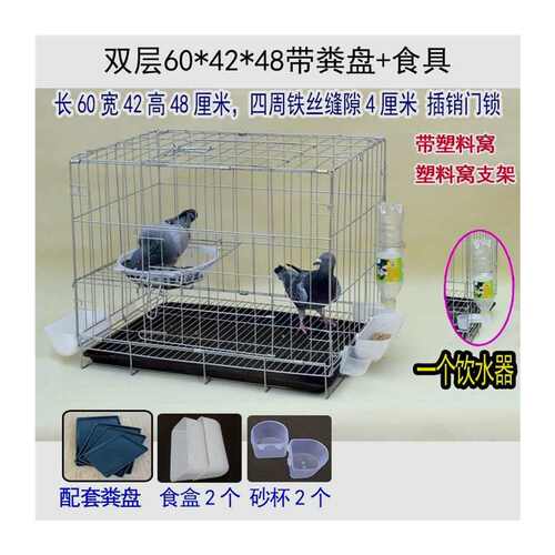 新品大号加粗鸽子用品用具12位16位养殖鸽子笼信鸽配对Z笼肉鸽繁 - 图3