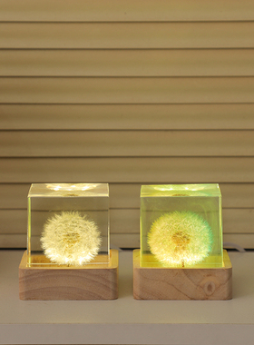 蒲公英标本立方体植物树脂摆件