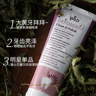 WILD/怀尔德进口牙膏抛光亮白75ml