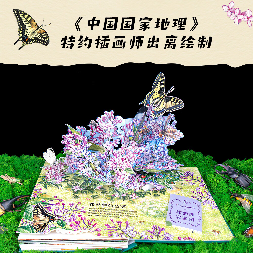 昆虫记立体书 法布尔昆虫记立体书 38个立体互动 附赠昆虫观察指南 三蝶纪审读校订 儿童自然科学启蒙读物 小学生课外读物果麦出品