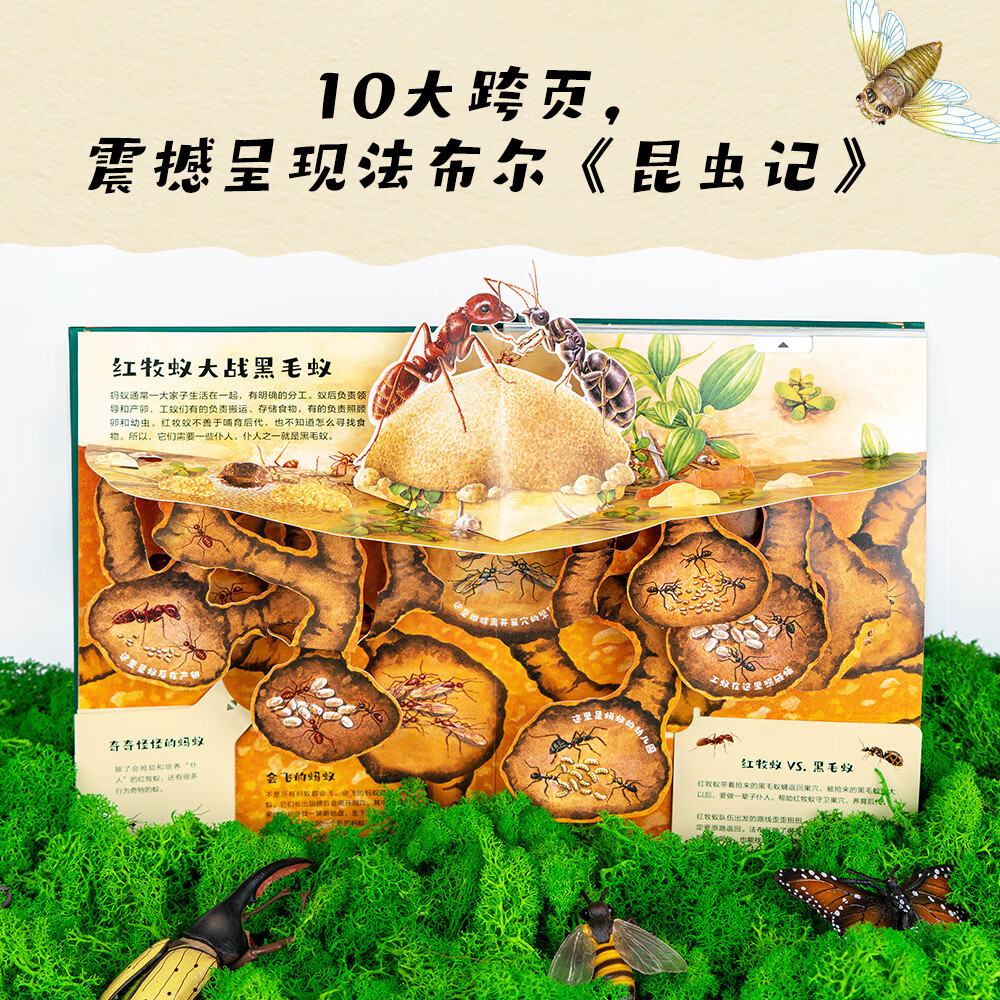 昆虫记立体书 法布尔昆虫记立体书 38个立体互动 附赠昆虫观察指南 三蝶纪审读校订 儿童自然科学启蒙读物 小学生课外读物果麦出品