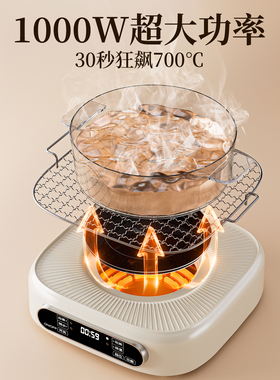 【国标3C认证】多功能养生煮茶器